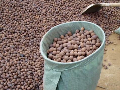 1517817429223957.jpg 2016061753676628.jpg