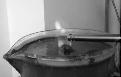 1525310168281165.jpg 2.jpg