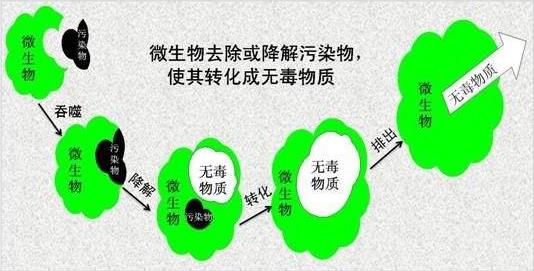 1538011368425064.jpg 微信截圖_20180926102140.jpg